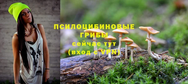2c-b Осинники